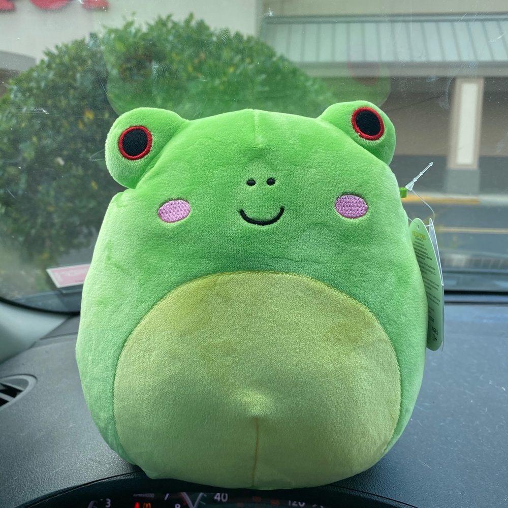 Wendy the Frog Squishmallow 8’
